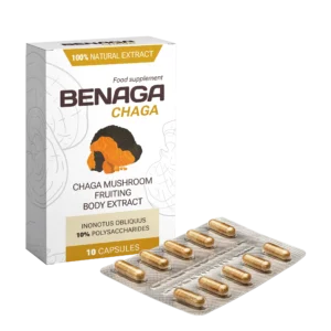 Benaga Chaga